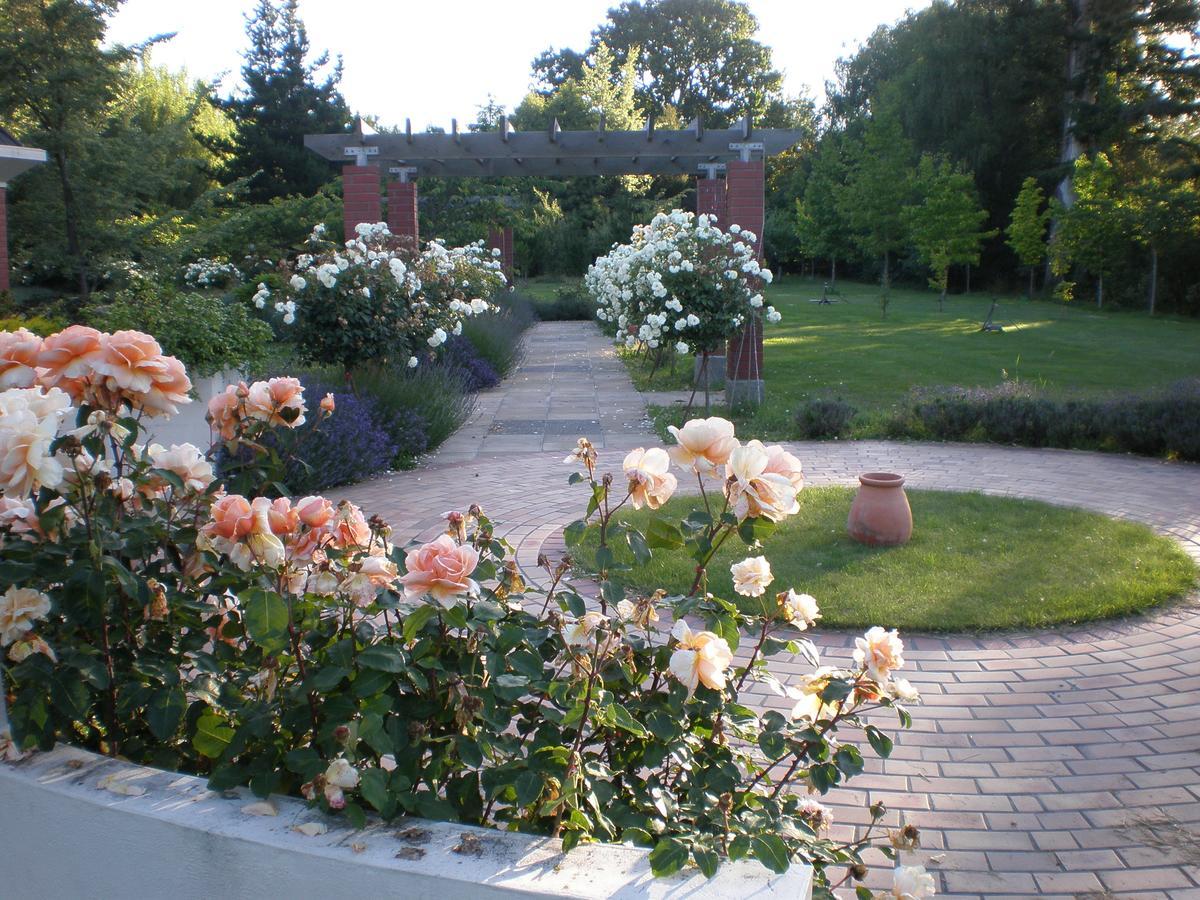 Shamrock Garden B&B Airport 基督城 外观 照片