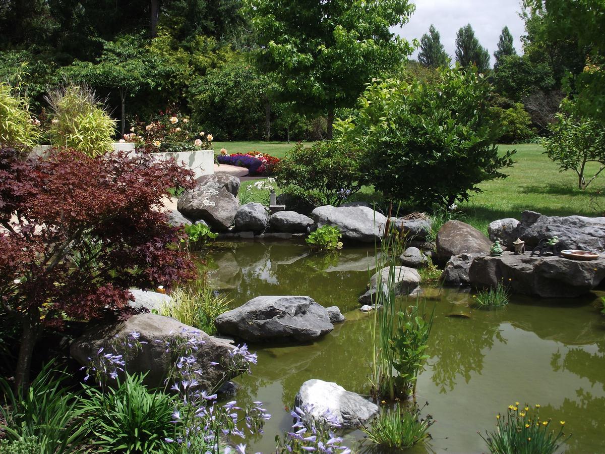 Shamrock Garden B&B Airport 基督城 外观 照片