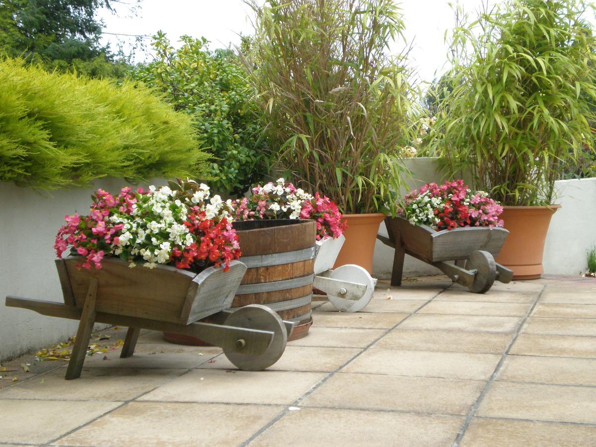 Shamrock Garden B&B Airport 基督城 外观 照片