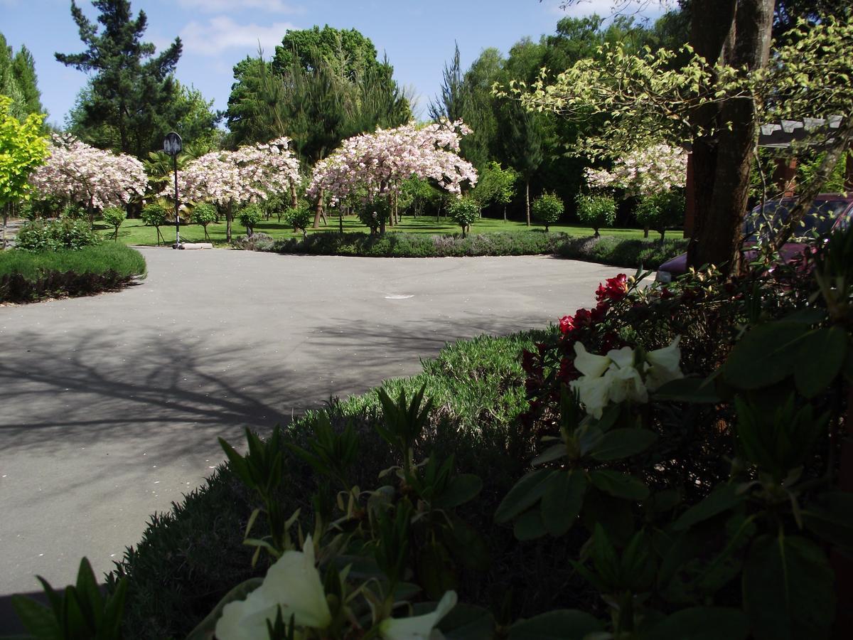 Shamrock Garden B&B Airport 基督城 外观 照片