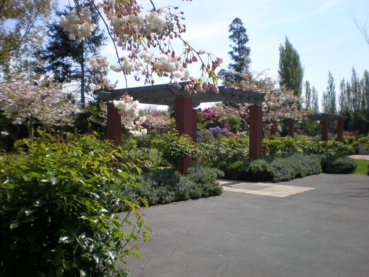Shamrock Garden B&B Airport 基督城 外观 照片