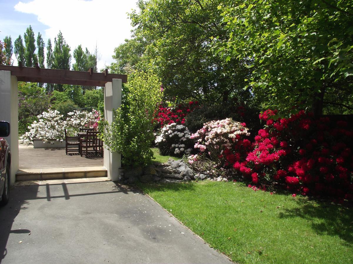 Shamrock Garden B&B Airport 基督城 外观 照片