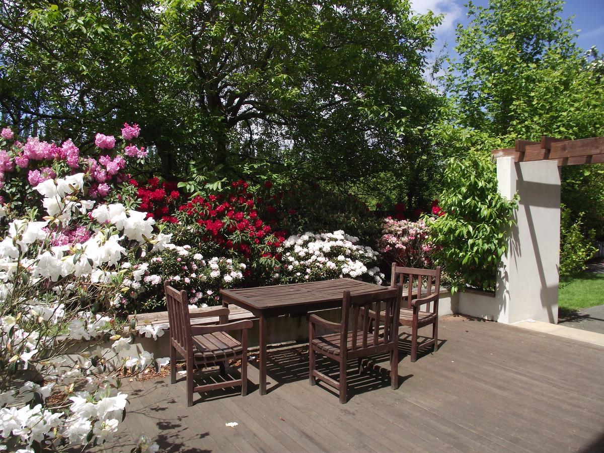 Shamrock Garden B&B Airport 基督城 外观 照片