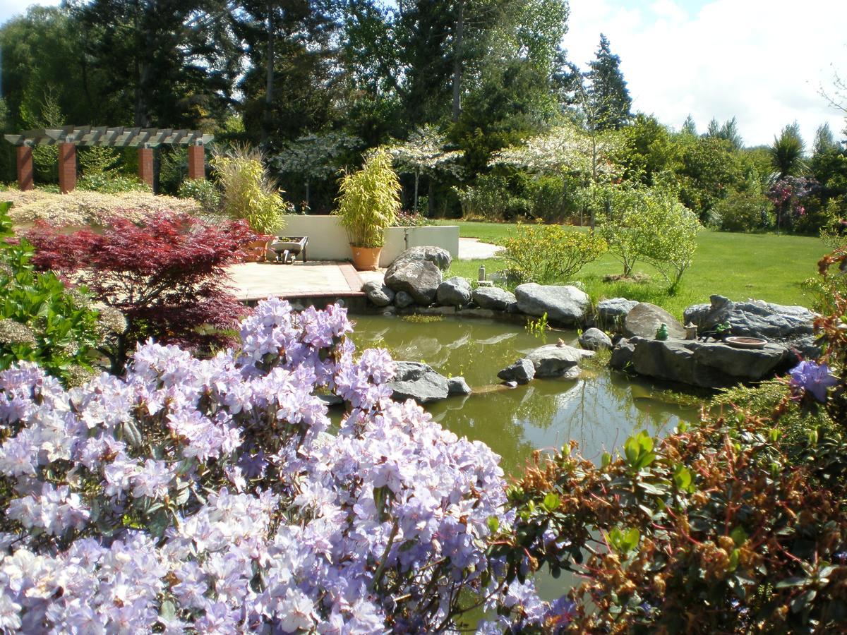 Shamrock Garden B&B Airport 基督城 外观 照片