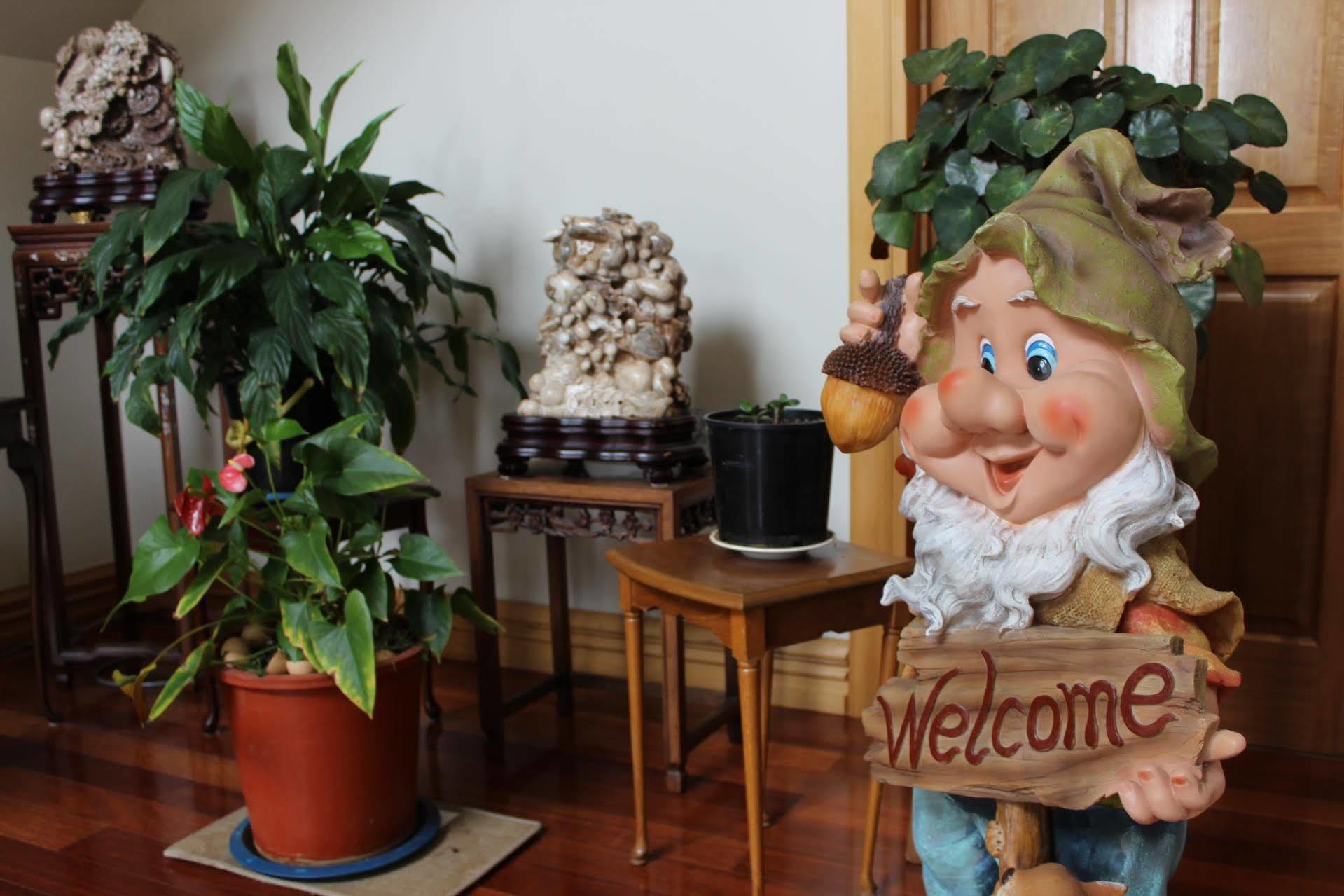 Shamrock Garden B&B Airport 基督城 外观 照片